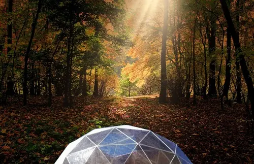 Cove Dome Glamping Moncton NB